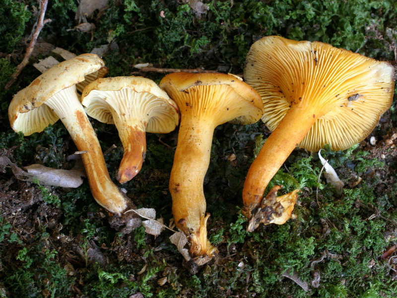 tre soggetti da definire